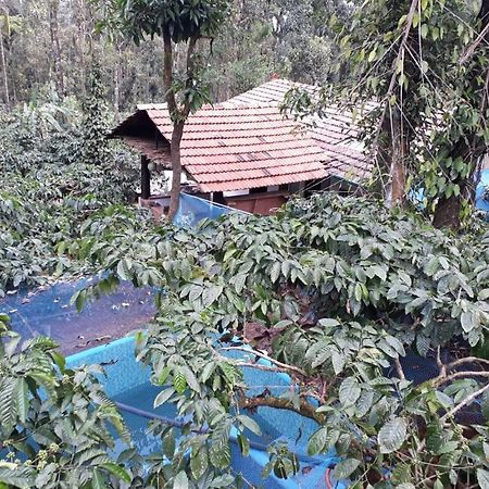 Durf Green Madikeri Buitenkant foto
