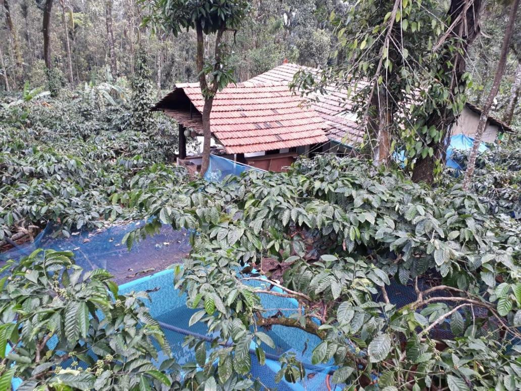 Durf Green Madikeri Buitenkant foto